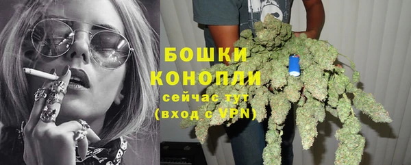 не бодяженный Богданович
