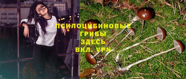 кокаин перу Бородино